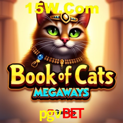Interface Premium pgvbet